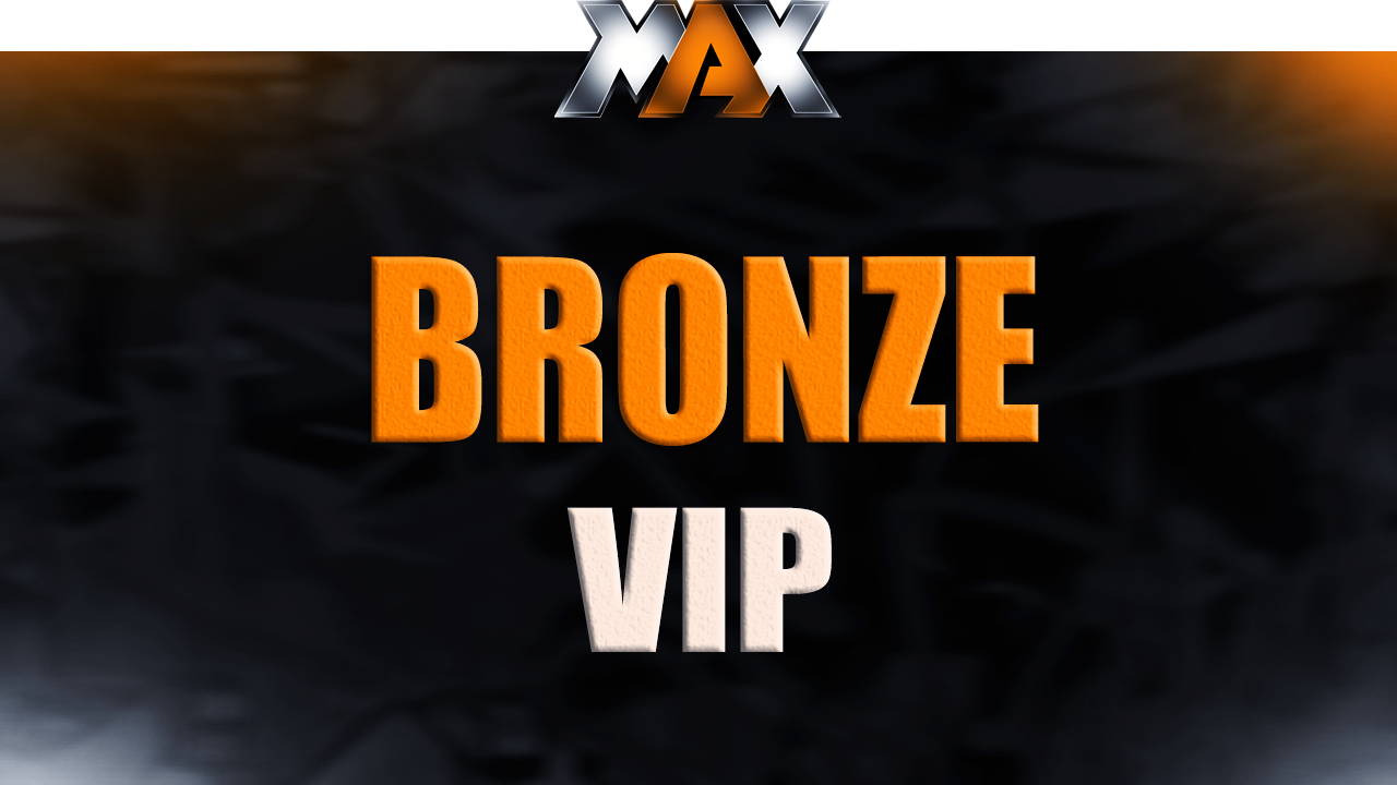 Bronze VIP